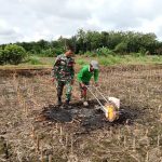 Tingkatkan Ketahanan Pangan, Babinsa Kodim 0428MM Dampingi Petani Tanam Jagung