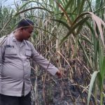Polisi Datangi Hot Spot Di Perkebunan Tebu PT Cinta Manis Kec. Tanjung Batu Kab. Ogan Ilir