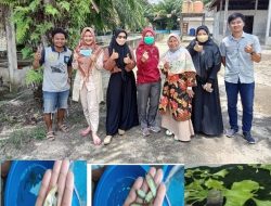 Poliponik, Polikultur-Akuaponik Ikan Rawa dan Tanaman sayur, Alternatif Produksi Ikan dan Sayuran di Lahan terbatas