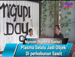 Ngosan Bersama Ade Indra Chaniago “Plasma Selalu jadi Objek di perkebunan sawit”