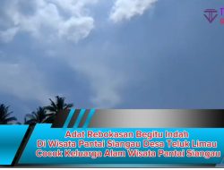 Adat Rebokasan Begitu Indah Di Wisata Pantai Siangau Desa Teluk Limau Cocok Keluarga Alam Wisata Pantai Siangau
