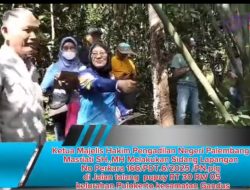 Ketua Majelis Hakim Pengadilan Negeri Palembang Masriati SH.,MH Melakukan Sidang Lapangan No Perkara 166/PDT.6/2025 /PN.plg  di Jalan talang  pupuy RT 30 RW 05 kelurahan Pulokerto kecamatan Gandus