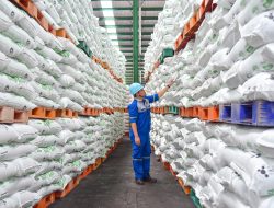 Kebijakan Pro Petani : Pupuk Subsidi Lebih Murah, Pusri Dukung Penuh