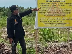 KETUA DPD LASKAR ANTI KORUPSI INDONESIA MENYOROTI ADANYA LAHAN LP2B,YANG DI DUGA DI JUAL KE PERUSAHAAN KEBUN SAWIT INTI DI SIMPANG PESAK BELTIM
