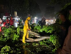 SIGAP DAN TANPA TUNDA! Babinsa Kodim 0418/Palembang Evakuasi Ibu–Anak Korban Pohon Tumbang di 16 Ulu