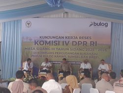 Stok Beras Bulog Sumsel-Babel Terjaga Baik, Beras Setahun di Gudang Jadi Perhatian Serius
