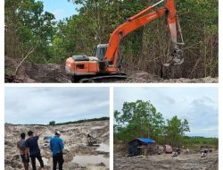 Ditreskrimsus Polda Babel Tertibkan Tambang Timah Ilegal di Kawasan Hutan Produksi Belinyu