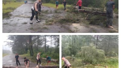 Polsek Merawang Gerak Cepat Evakuasi, Pohon Tumbang di Jalan Lintas Timur Merawang