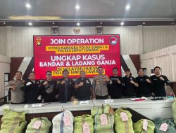 Operasi Gabungan Polda Sumsel Bongkar Ladang Ganja 20 Hektar di Empat Lawang, 220 Kg Ganja dan Bandar Utama Ditangkap