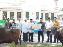 Iduladha 1447 H Bank Sumsel Babel distribusikan Bantuan Hewan Kurban ke Masyarakat Sumsel dan Babel