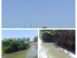 Warga Minta Dugaan Pembuangan Limbah Tambak Udang di Sungai Desa Padang Kandis Belitung Diselidiki