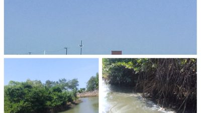 Warga Minta Dugaan Pembuangan Limbah Tambak Udang di Sungai Desa Padang Kandis Belitung Diselidiki