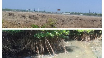 Diduga Bau Limbah Tambak Udang Tercium Hingga Jalan Raya, Warga Padang Kandis Minta Pemeriksaan