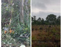 HEBOH! Warga Minta Kajati Babel dan Kapolda Babel Usut Dugaan Perampasan Hak Atas Lahan di Dusun Limbung