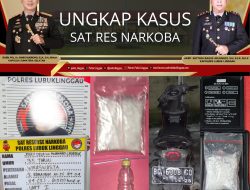 Pengungkapan Kasus Narkoba: Satresnarkoba Polres Lubuk Linggau Bekuk RD (35)