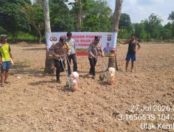 Polsek Pemulutan Dukung Ketahanan Pangan, Tanam Jagung Pipil Kuartal III Bersama Kelompok Tani di Pemulutan Barat