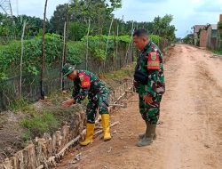 Wadan Satgas TMMD ke-129 Kodim 0418/Palembang Tinjau Progres Pembangunan Jalan 750 Meter yang Capai 50 Persen