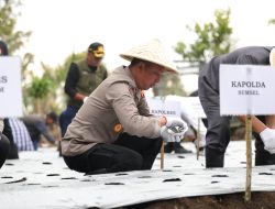 Dukung Ketahanan Pangan Nasional, Kapolda Sumsel dan Wali Kota Pagar Alam Gelar Tanam Perdana Bawang Putih