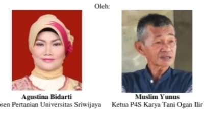Budidaya Padi Talang di Sumatera Selatan: Kemana Perginya?